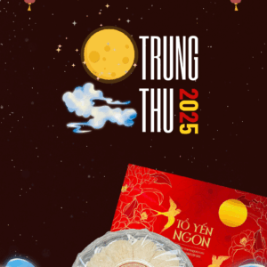 Tổ Yến Nguyên Chất Cao Cấp 100g