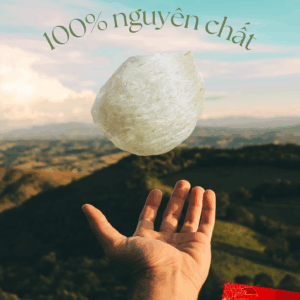 Tổ Yến Rút Lông Thượng Hạng Đặc Biệt 50g