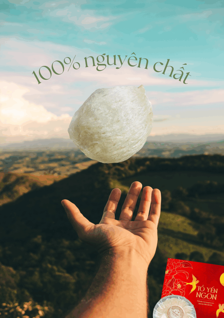 Tổ Yến Rút Lông Thượng Hạng Đặc Biệt 50g