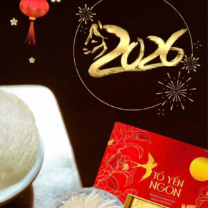 Tỗ yến nguyên chất cao cấp Tết