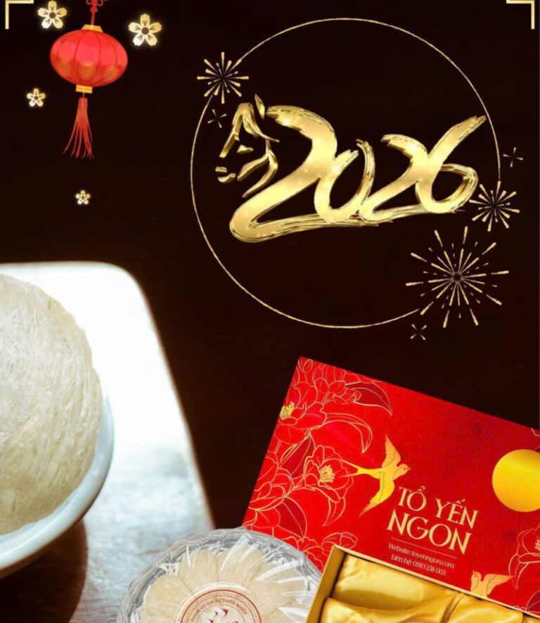 Tỗ yến nguyên chất cao cấp Tết